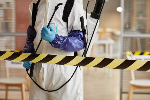 Professional Blood Cleanup technician working in Freeport, TX